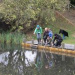 Froggy Pond Makeover by Water Gems Edinburgh