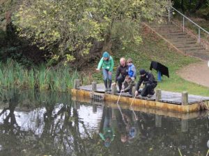 Froggy Pond Makeover by Water Gems Edinburgh