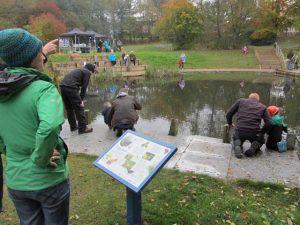 Froggy Pond Makeover by Water Gems Edinburgh