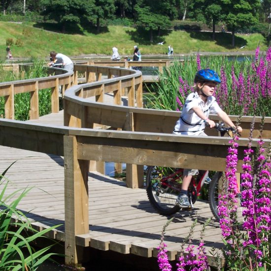 Inverleith Park Pond finished and open to the public.