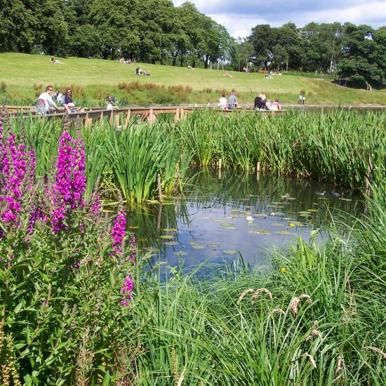 Inverleith Park Pond finished and open to the public.