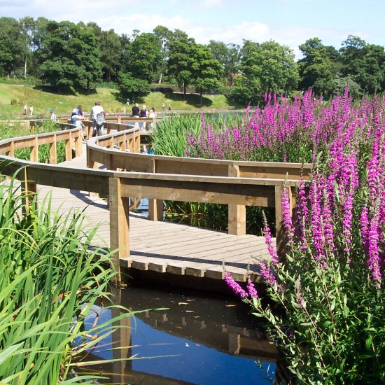 Inverleith Park Pond finished and open to the public, biodiversity gains evident