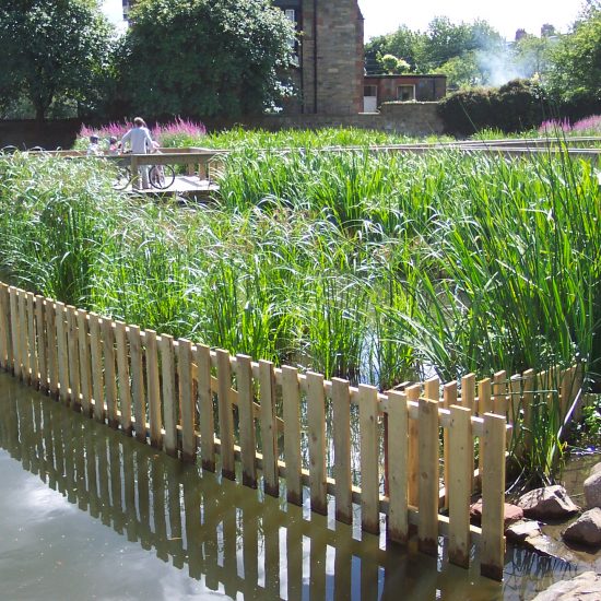 Inverleith Park Pond open to public, biodiversity gains evident