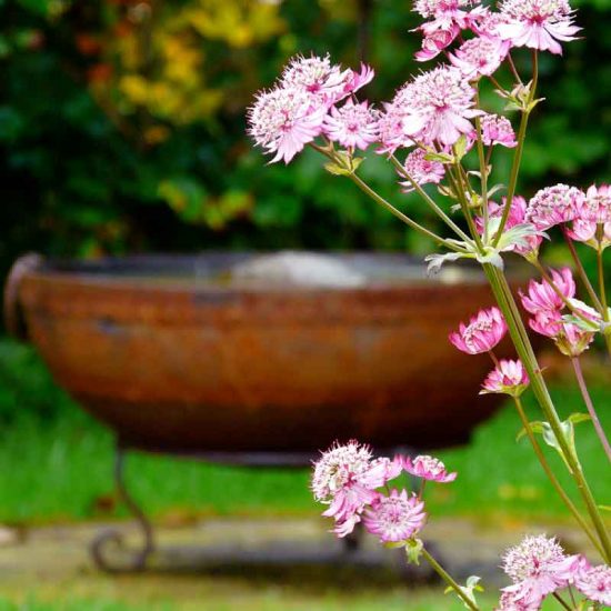 Kadai water bowl, Culross garden built by Water Gems, designed by Carolyn Grohmann