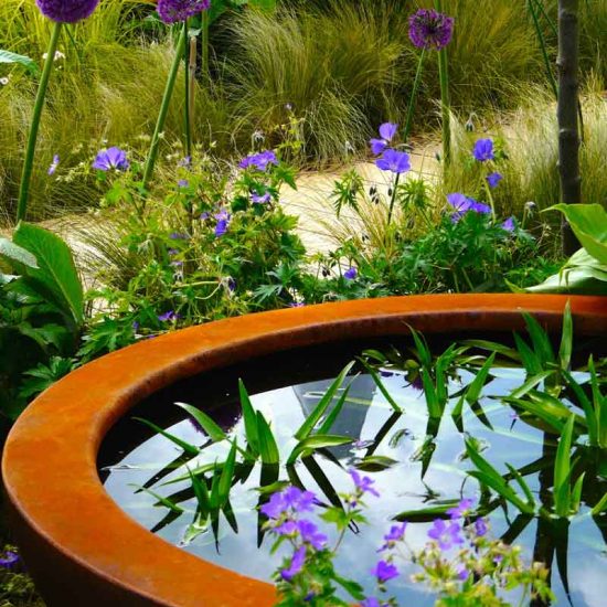 Urbis lily bowl in Gold Medal Award-Winning Garden, built by Water Gems, designed by Carolyn Grohmann at Gardening Scotland 2014