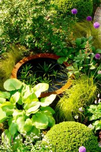 Urbis lily bowl in Gold Medal Award-Winning Garden, built by Water Gems, designed by Carolyn Grohmann at Gardening Scotland 2014