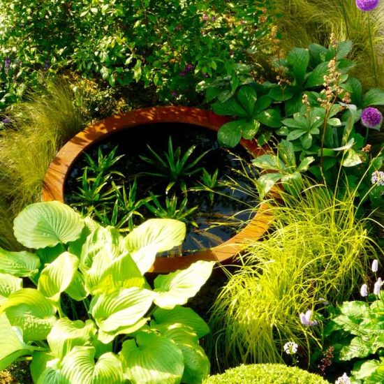 Urbis lily bowl in Gold Medal Award-Winning Garden, built by Water Gems, designed by Carolyn Grohmann at Gardening Scotland 2014