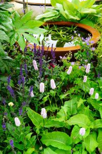 Urbis lily bowl in Gold Medal Award-Winning Garden, built by Water Gems, designed by Carolyn Grohmann at Gardening Scotland 2014
