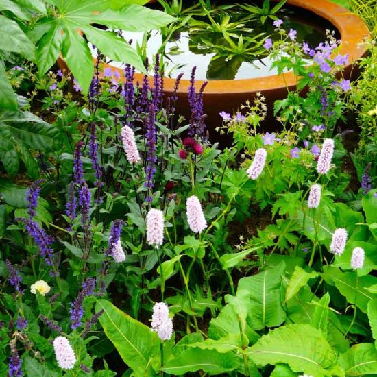 Urbis lily bowl in Gold Medal Award-Winning Garden, built by Water Gems, designed by Carolyn Grohmann at Gardening Scotland 2014