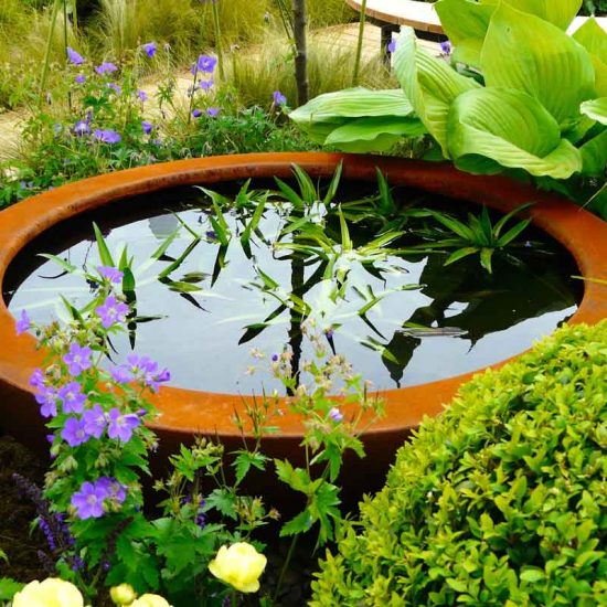 Urbis lily bowl in Gold Medal Award-Winning Garden, built by Water Gems, designed by Carolyn Grohmann at Gardening Scotland 2014