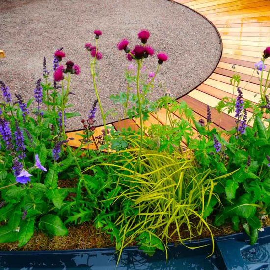 Gold Medal Award-Winning Garden, built by Water Gems, designed by Carolyn Grohmann at Gardening Scotland 2014