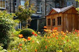 Edinburgh Eton Terrace garden, built by Water Gems, designed by Carolyn Grohmann, shed by Kevin Clark