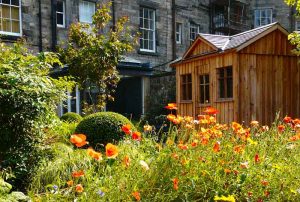 Scorched oak bench, Urbis lily bowl, Edinburgh Eton Terrace garden, built by Water Gems, designed by Carolyn Grohmann, BALI award winning 2014