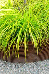 Rebar raised bed, Edinburgh Eton Terrace garden, built by Water Gems, designed by Carolyn Grohmann, BALI award winning 2014