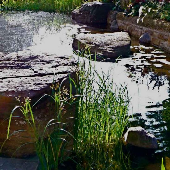 Swimming pond, Garden in Inverleith, Edinburgh by Water Gems