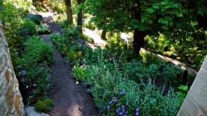 Garden in Inverleith, Edinburgh by Water Gems