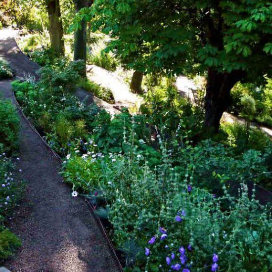 Garden in Inverleith, Edinburgh by Water Gems