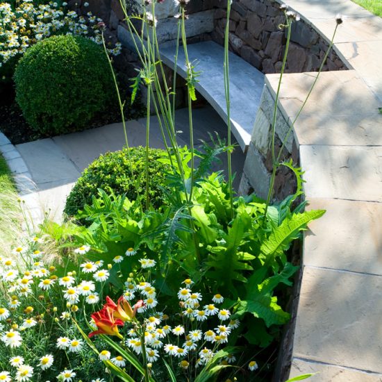 Colinton Road, Edinburgh Garden, built by Water Gems, designed by Carolyn Grohmann