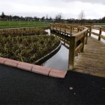 Boardwalk with wetland planting