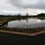 Rosyth boating lake boardwalk