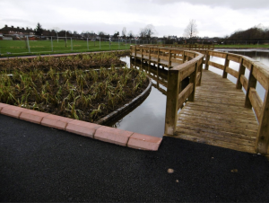 Boardwalk with wetland planting