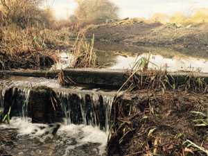 Ormiston, East Lothian pond work