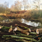 Ormiston, East Lothian pond work