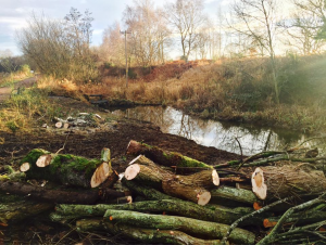 Ormiston, East Lothian pond work