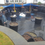 Firestone Pond Liner -pondlining project, Stirling