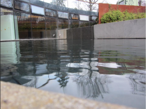 Reflections on the water surface