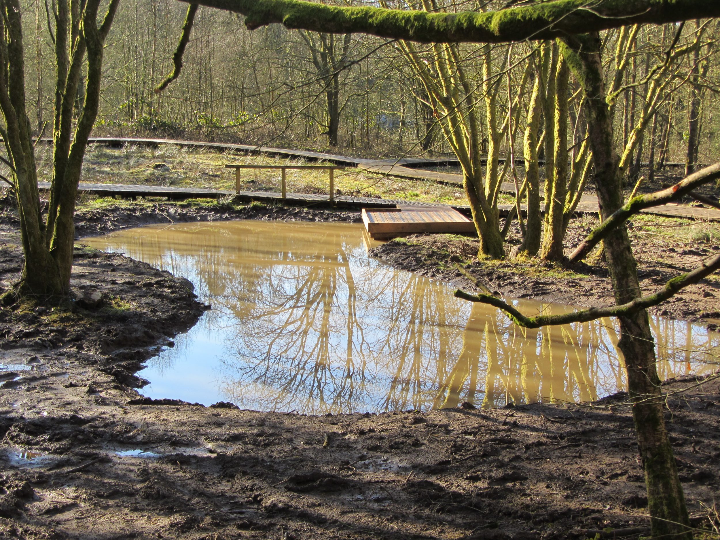 Habitat Creation