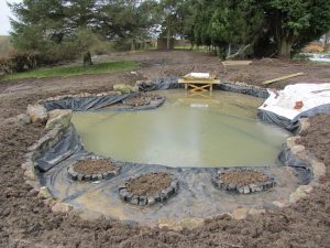 The best liner is Firestone EPDM which we get from Gordon Low Products