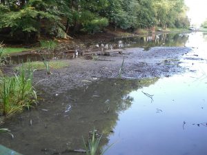 Dedridge Pond, Livingston