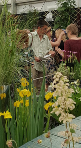RHS Chelsea Notes