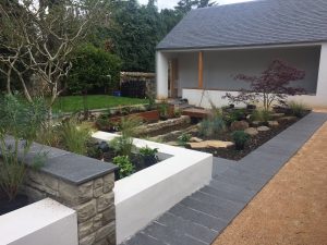 Corten Steel, Ravelston - newly planted