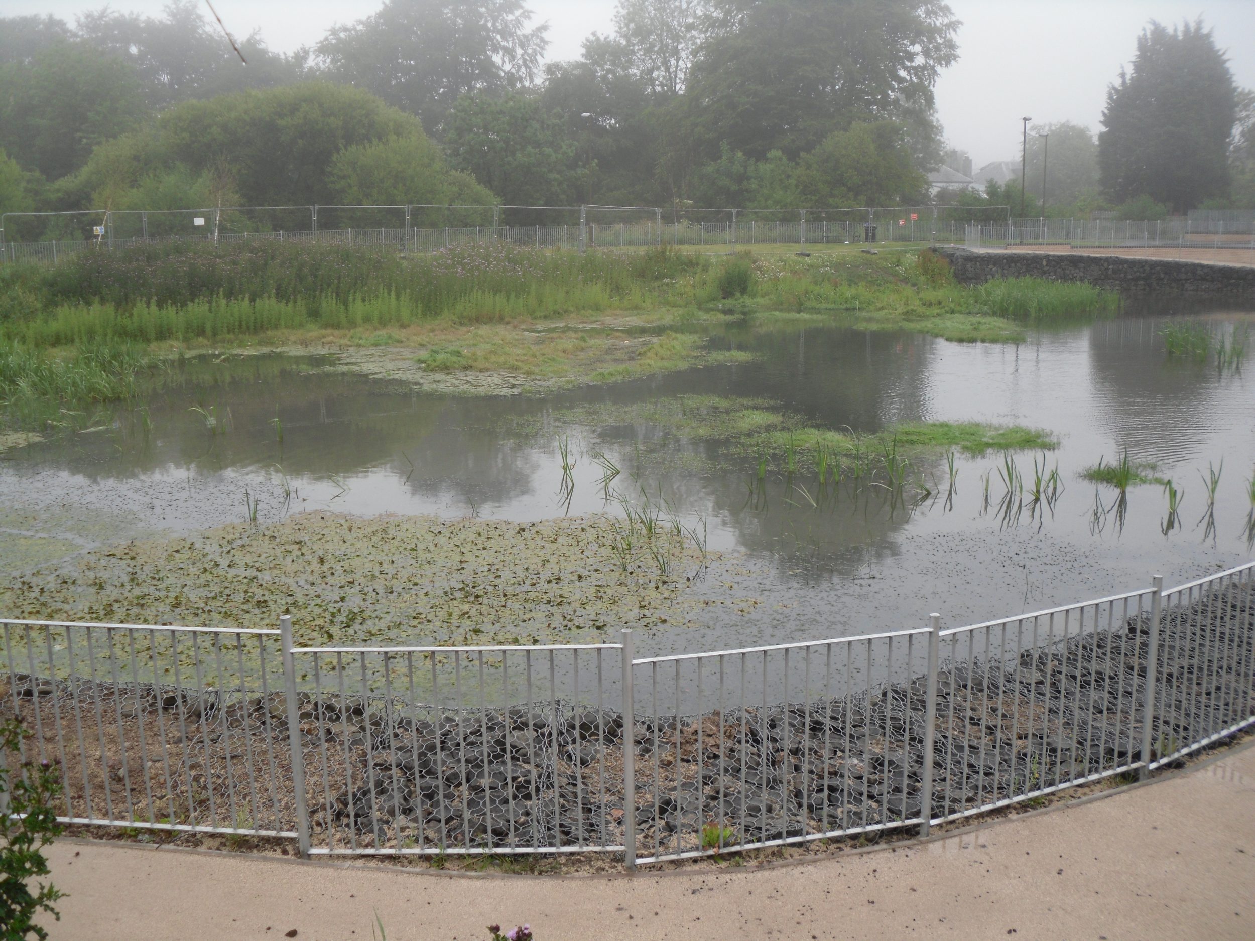 Oxgangs SUDS prior to planting