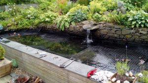 Mesh protecting fish from mink