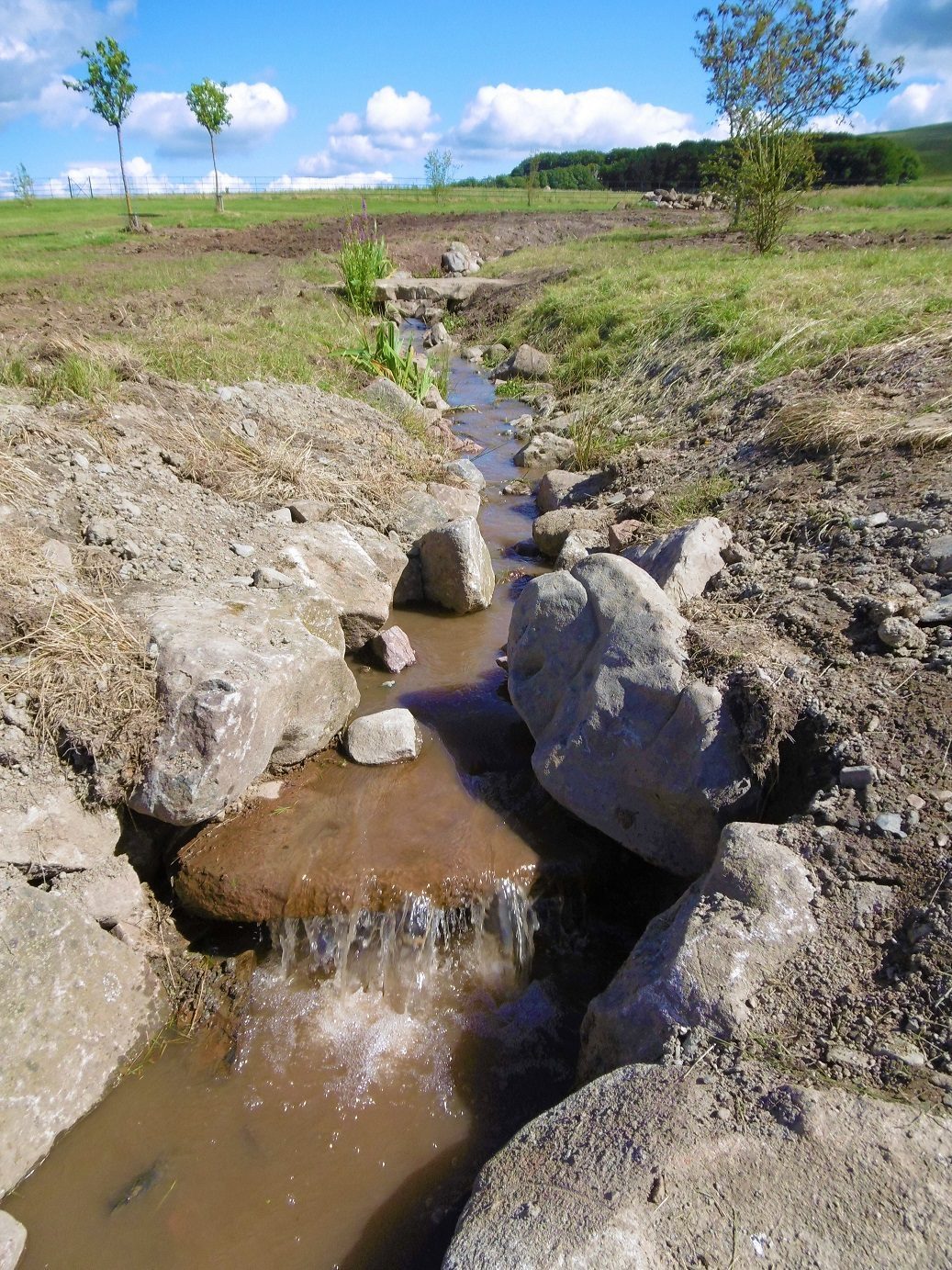 Flowing stream