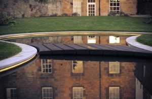 Shapely pond reflections