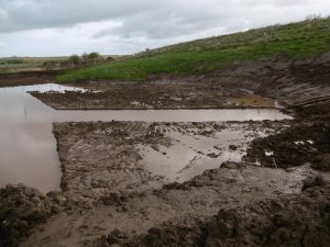 Mudbath, Bearsden boardwalk