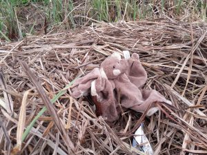 bat puppet nesting material at Stenhouse Lido