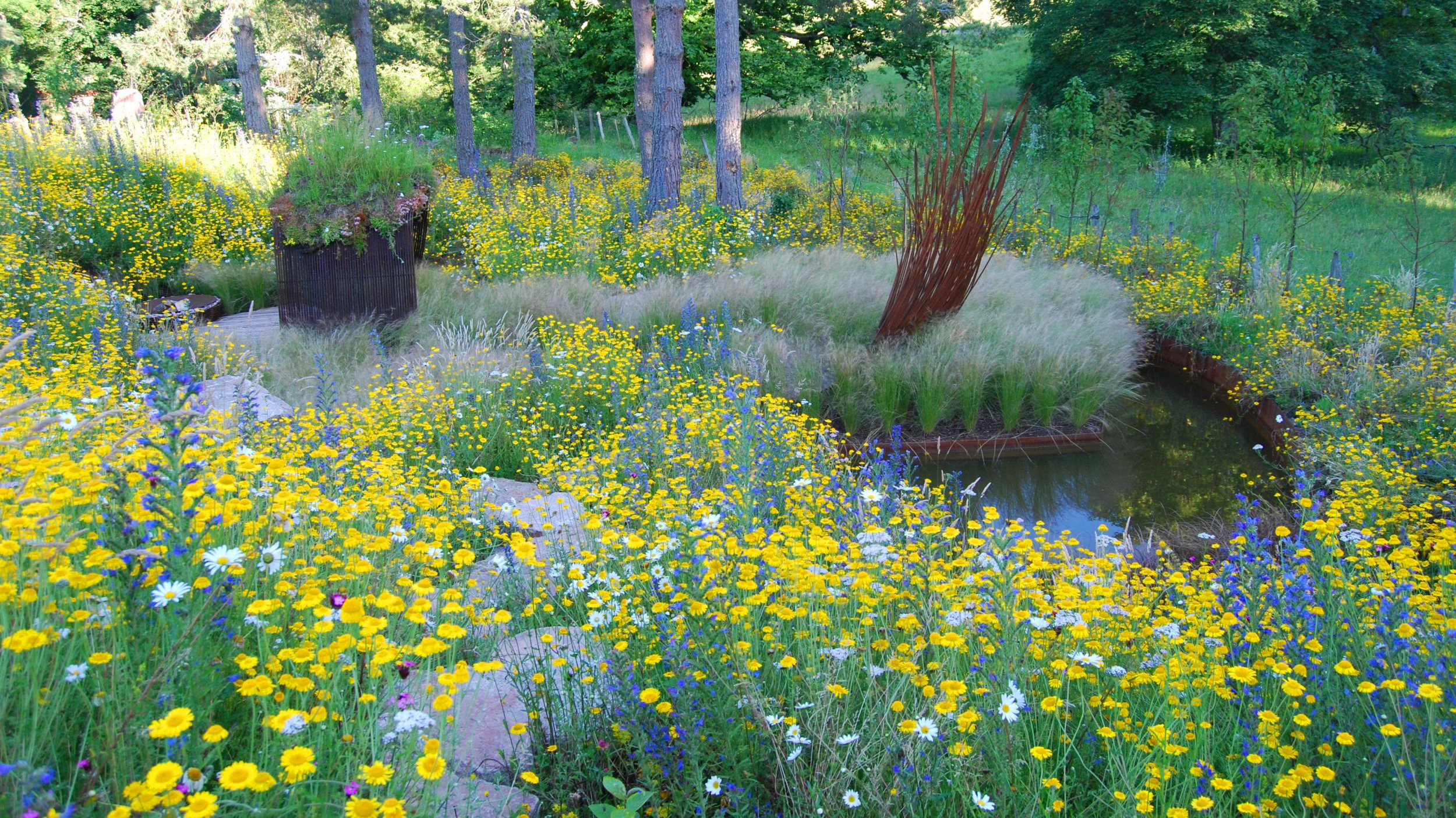 Aviemore Garden