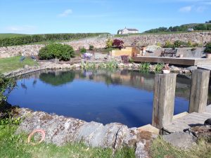 Pond renovation complete