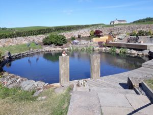 Pond renovation complete