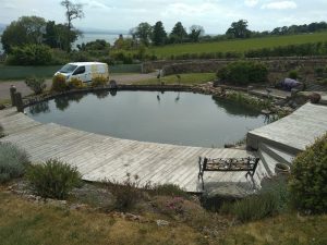 Post pond renovation