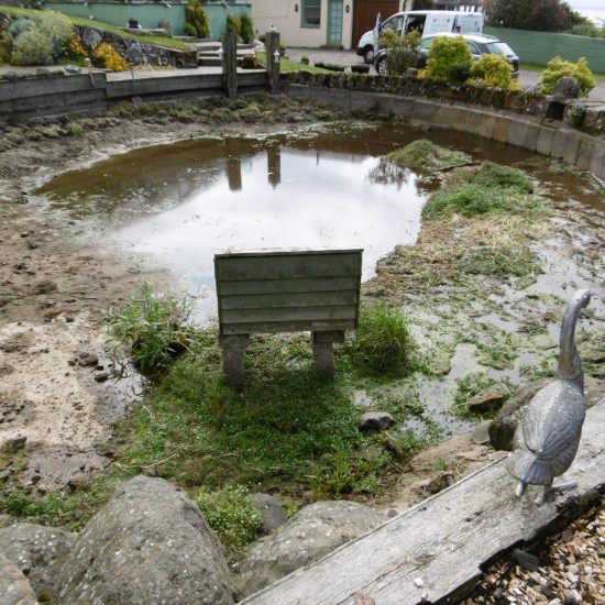 Pond before renovation