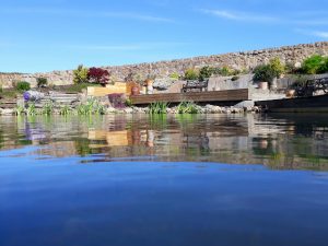 Pond renovation complete