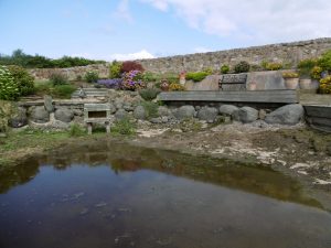 Pond before renovation