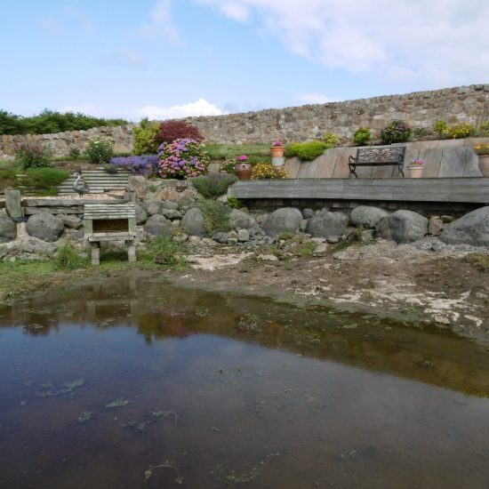 Pond before renovation