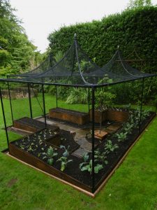 Rebar vegetable enclosure, raised beds, 